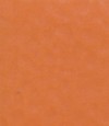 得嘉PVC運(yùn)動地板 Orange2